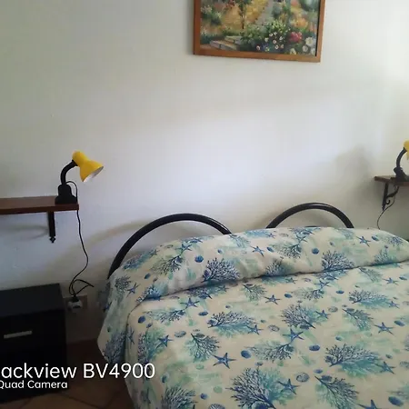 Casanikismiau * Chia