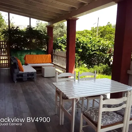 Casanikismiau * Chia