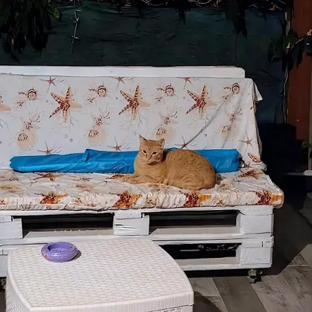 Casa Per Amanti Gatti
